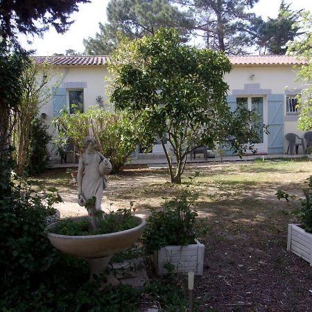 Mas Des Pins Bed & Breakfast Saint-Cyprien  Ngoại thất bức ảnh