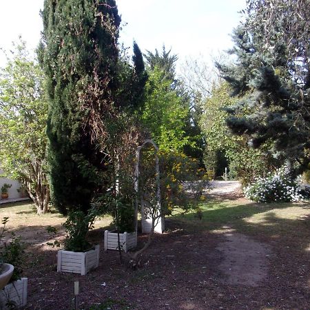 Mas Des Pins Bed & Breakfast Saint-Cyprien  Ngoại thất bức ảnh