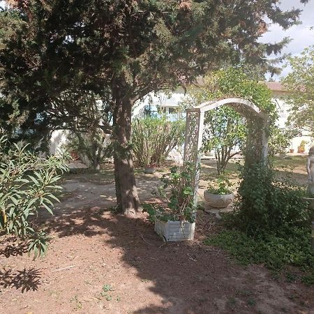 Mas Des Pins Bed & Breakfast Saint-Cyprien  Ngoại thất bức ảnh