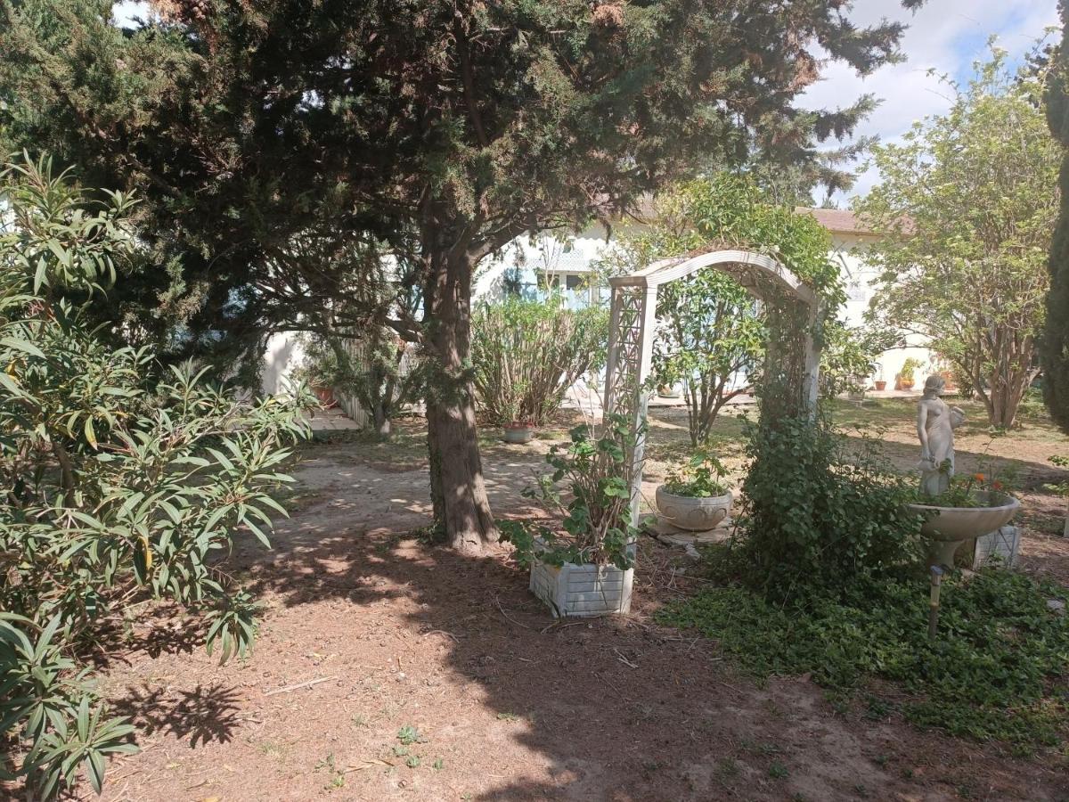 Mas Des Pins Bed & Breakfast Saint-Cyprien  Ngoại thất bức ảnh